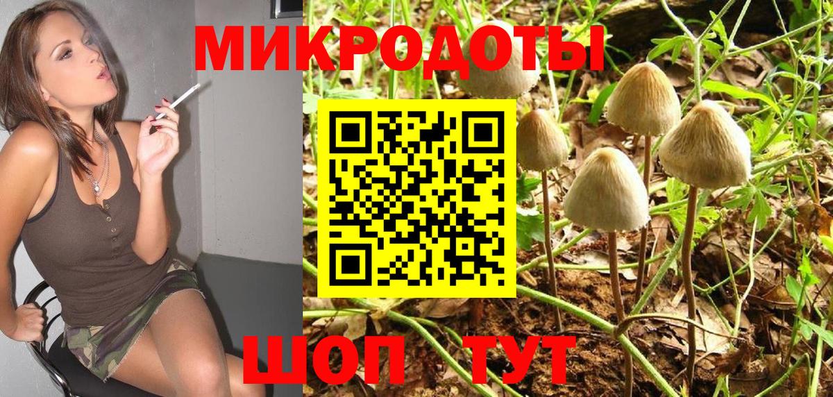 Псилоцибиновые грибы ЛСД Качканар