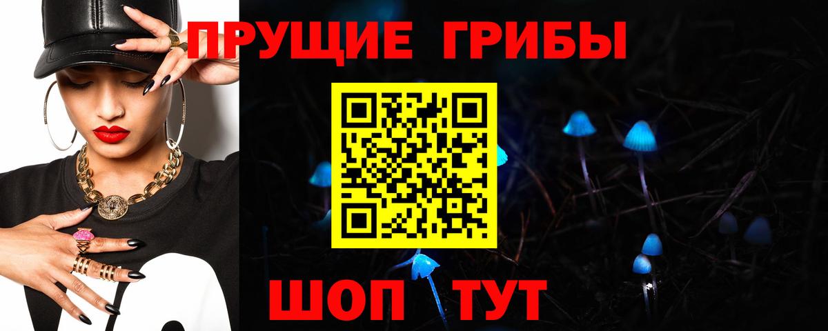Качканар  закладка  Вход с VPN  Галлюциногенные грибы Cubensis  Псилоцибиновые грибы мицелий 